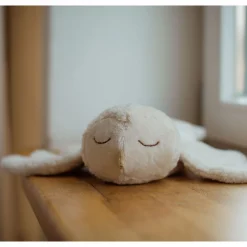 Organic Cuddly Animal
