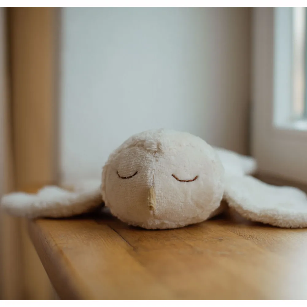 Organic Cuddly Animal