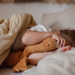 Organic Cuddly Animal