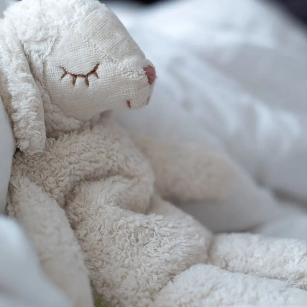 Organic Cuddly Animal