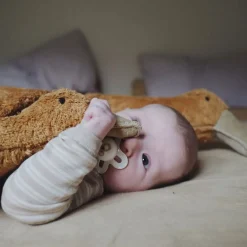 Organic Goose Cuddly Animal