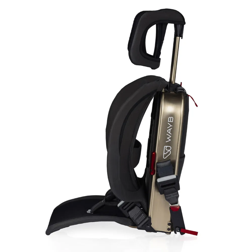 Pico Car Seat