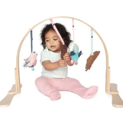 Play Gym