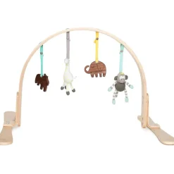 Play Gym