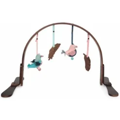 Play Gym