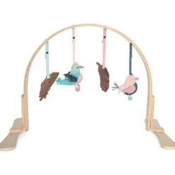 Play Gym
