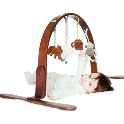 Play Gym + Macrame Swing Bundle