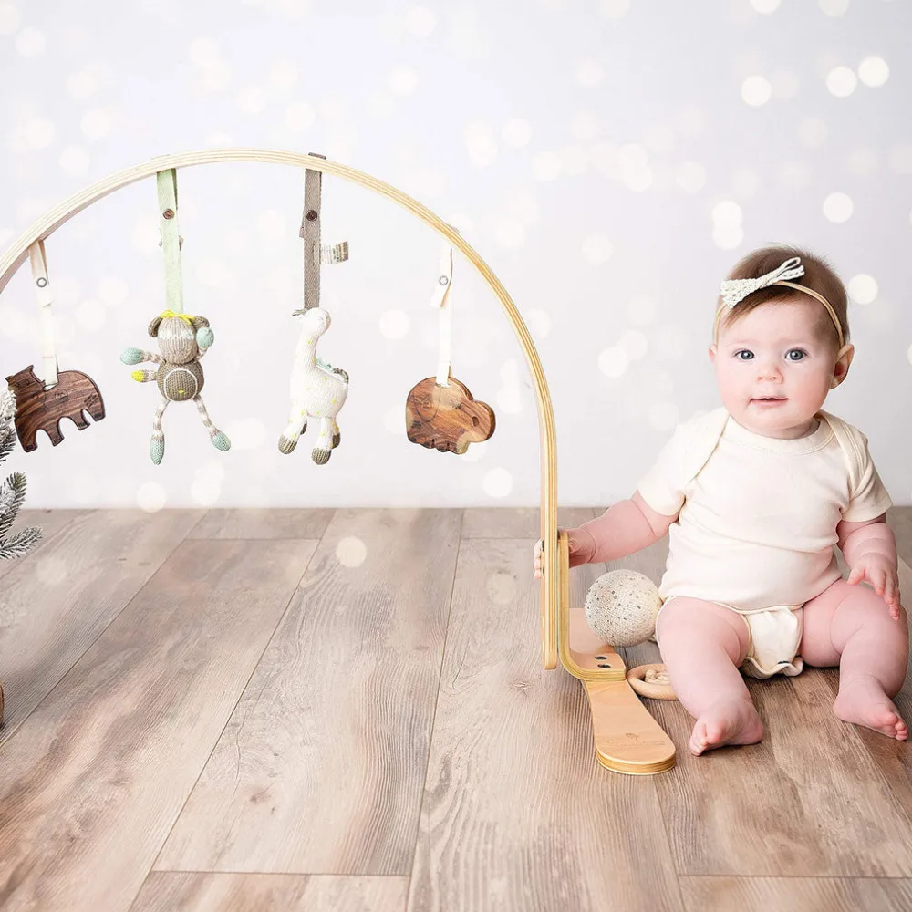Play Gym + Macrame Swing Bundle