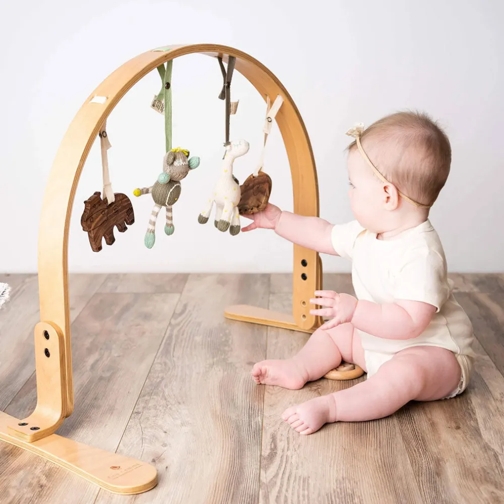 Play Gym + Macrame Swing Bundle