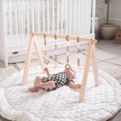 Play Gym Set
