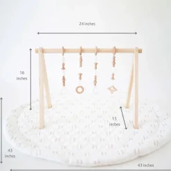 Play Gym Set