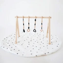 Play Gym Set