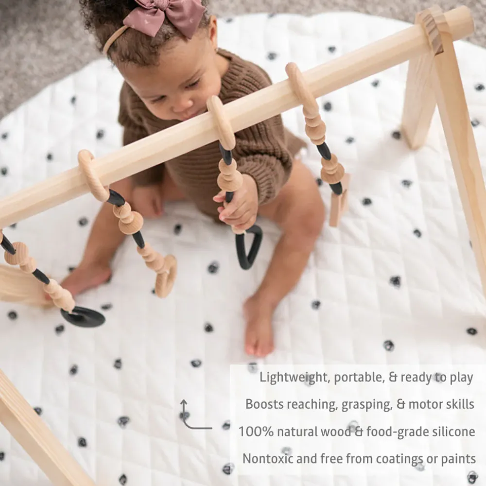 Play Gym Set