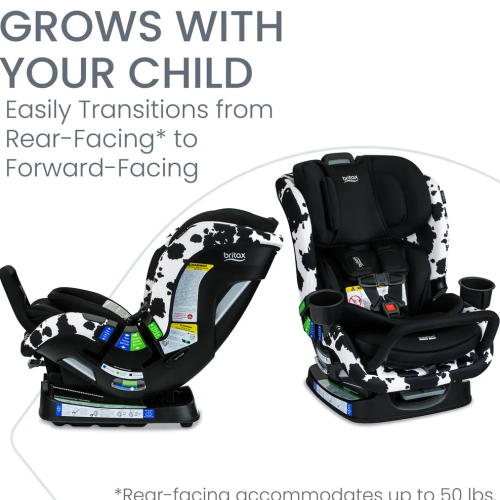 Poplar S Convertible Car Seat