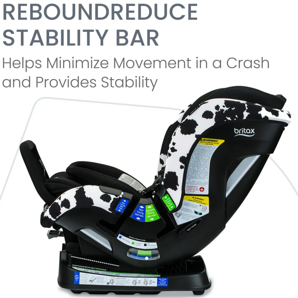 Poplar S Convertible Car Seat