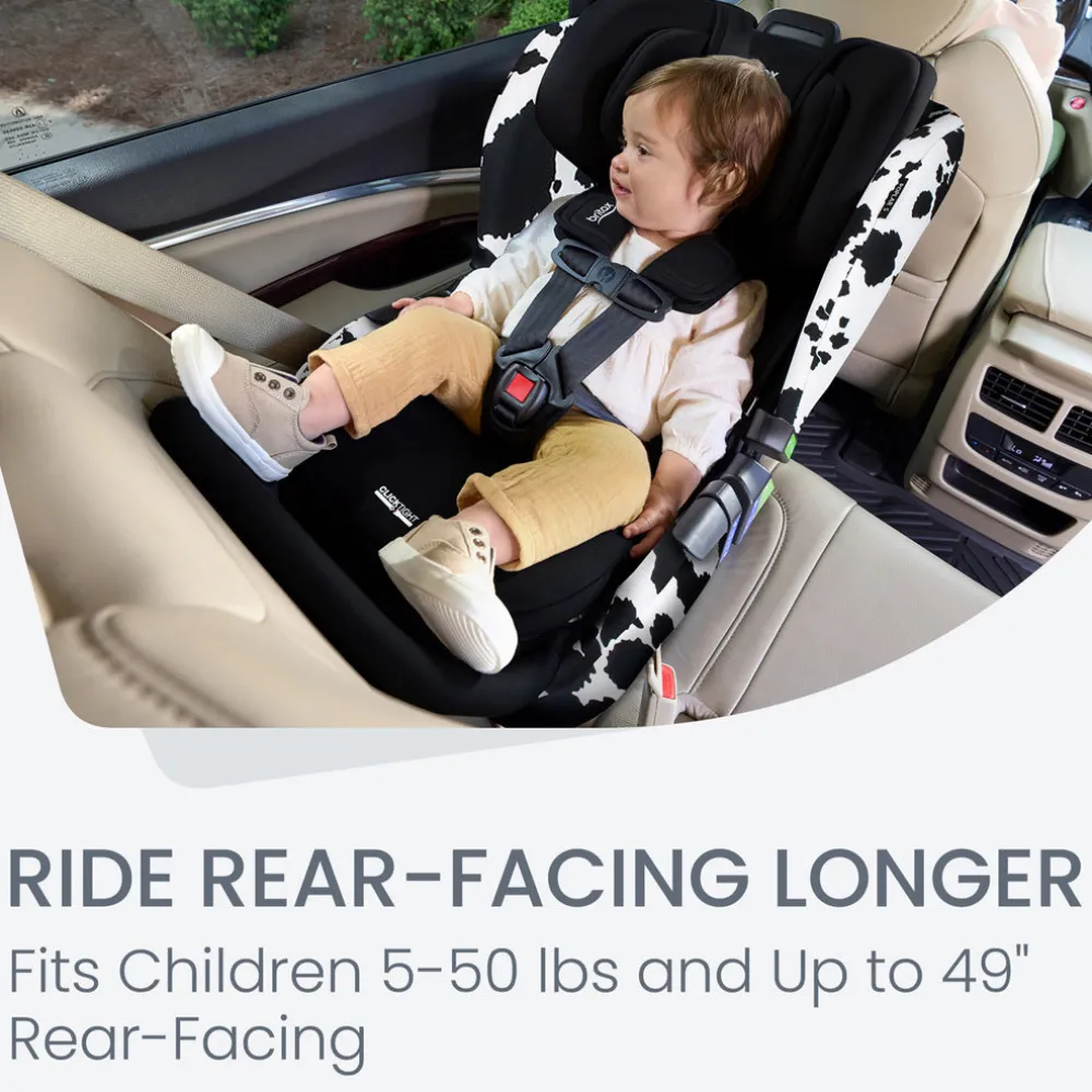 Poplar S Convertible Car Seat