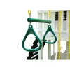 Reign Swing Attachment