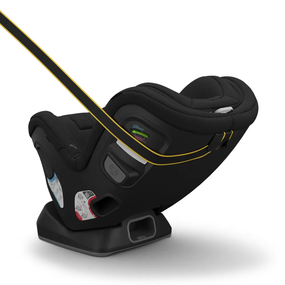 Rove Convertible Car Seat