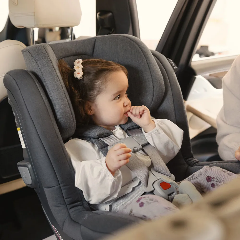 Rove Convertible Car Seat