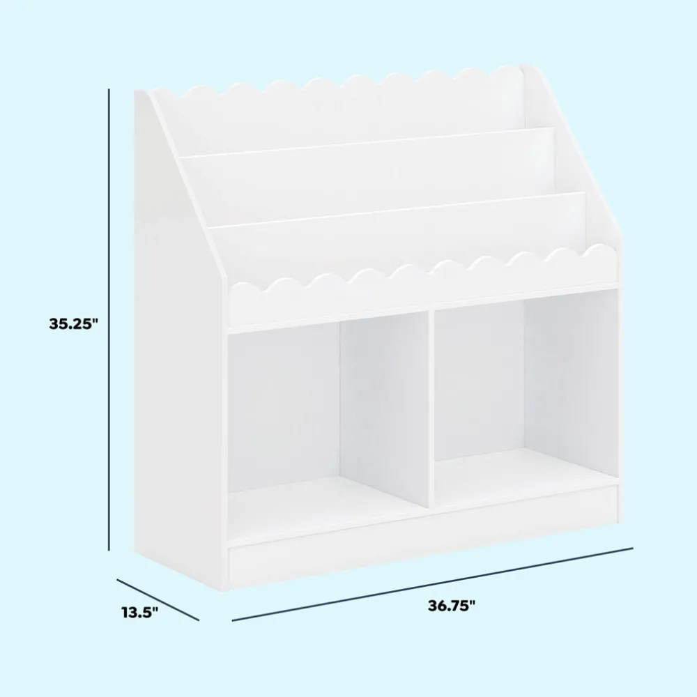 Sammy Scallop Bookcase