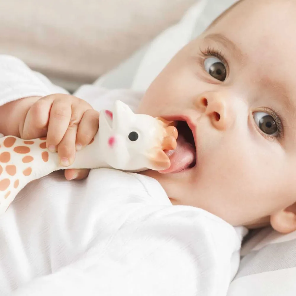 Sophie The Giraffe