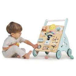 Sunshine Baby Activity Walker