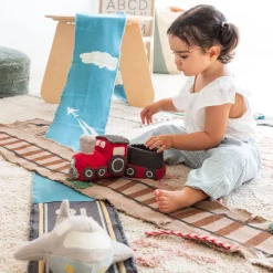 Train Ride & Roll Soft Toy