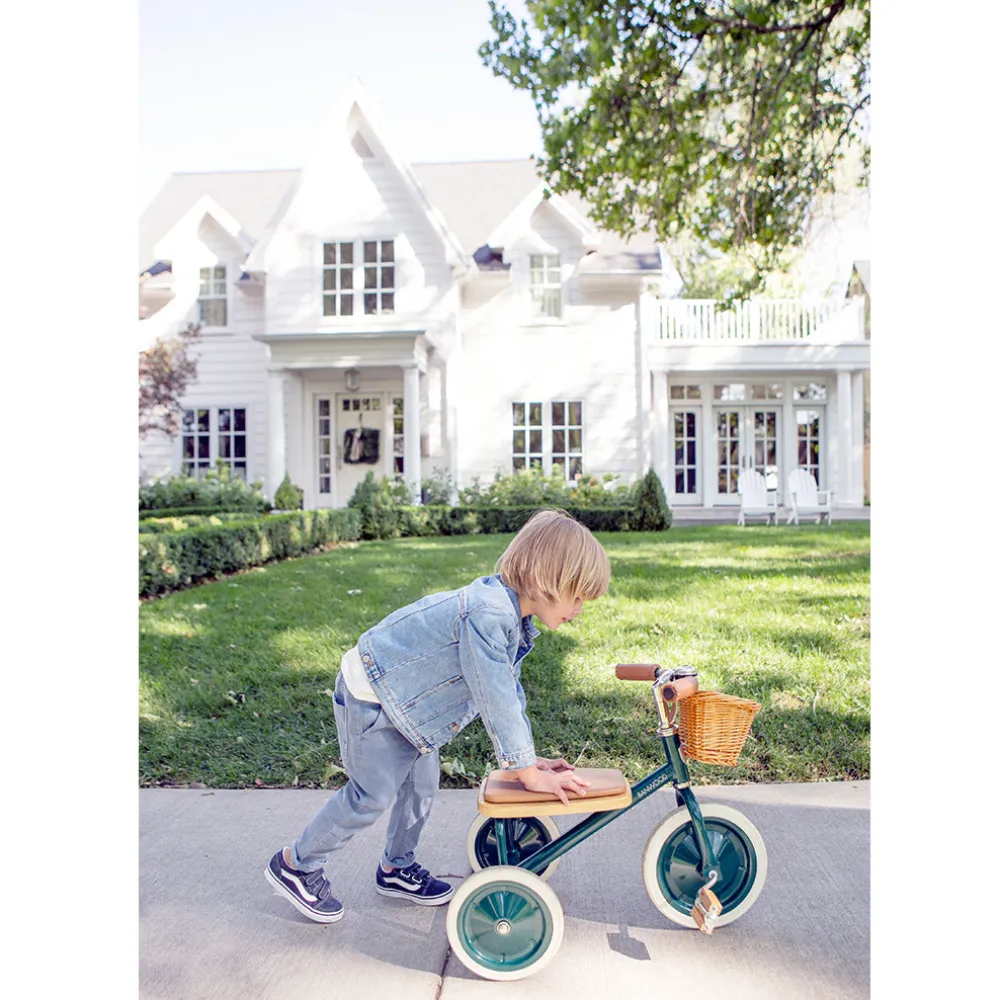 Trike