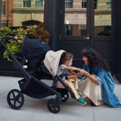 Turtle Air Shield by Nuna Car Seat