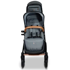 Ventura Single to Double Sit-and-Stand Stroller & 2nd Toddler Seat