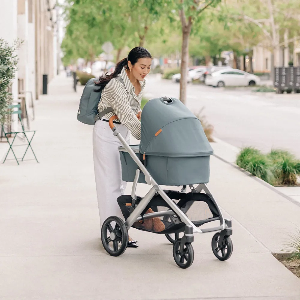 Vista V3 Stroller