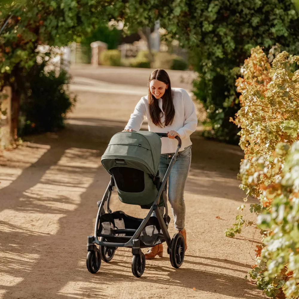 Vista V3 Stroller