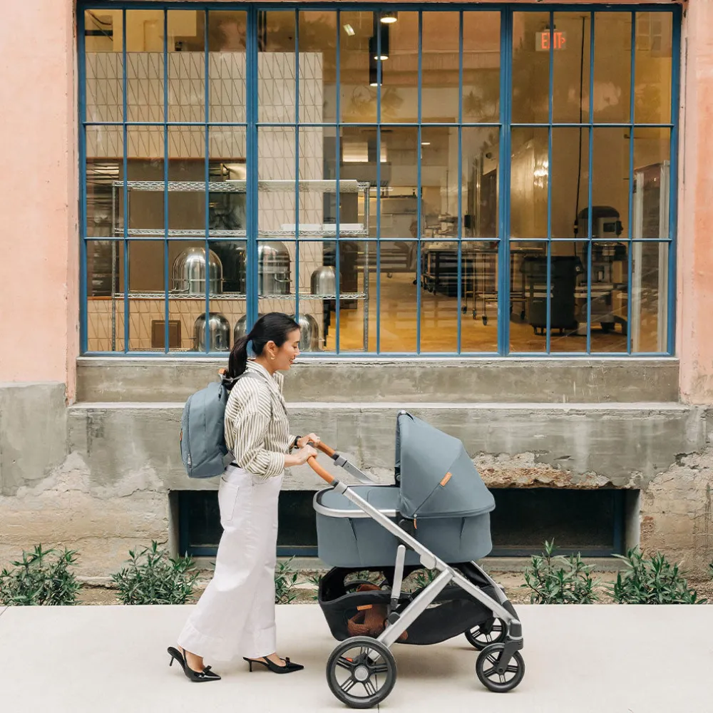 Vista V3 Stroller
