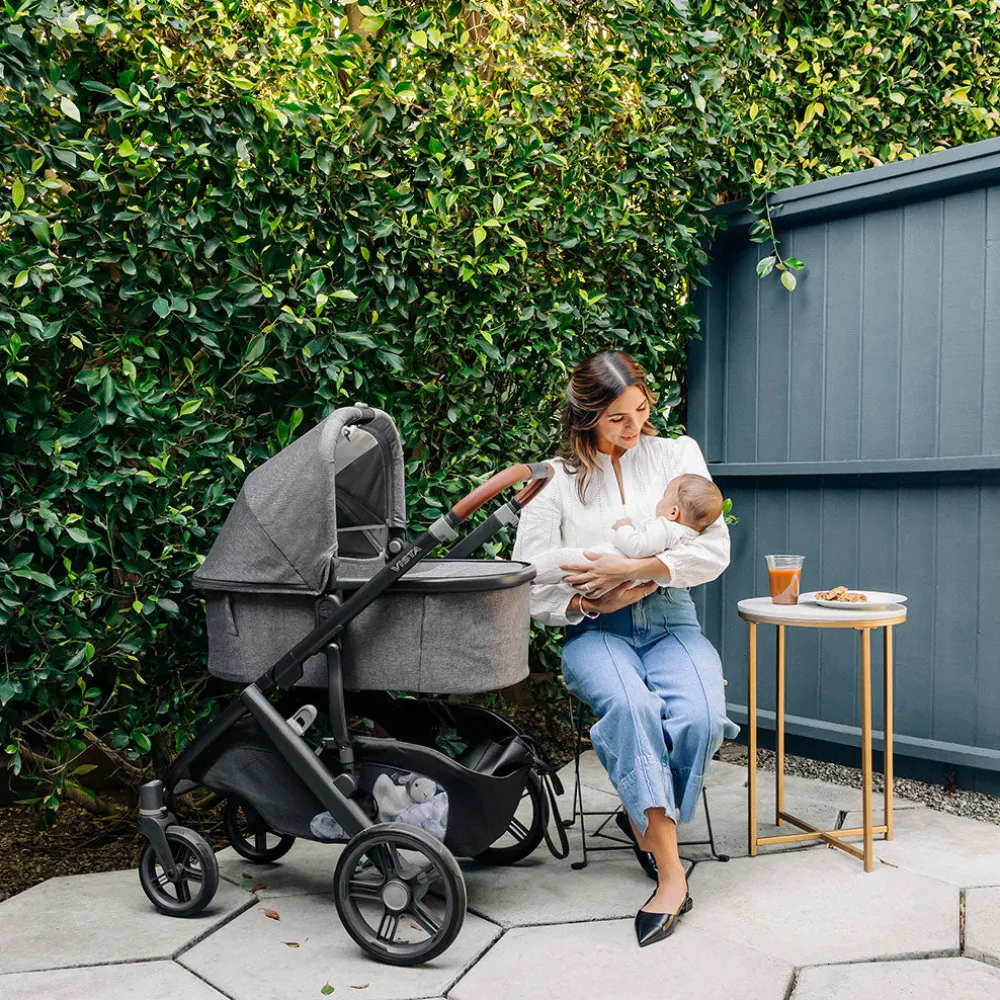 Vista V3 Stroller