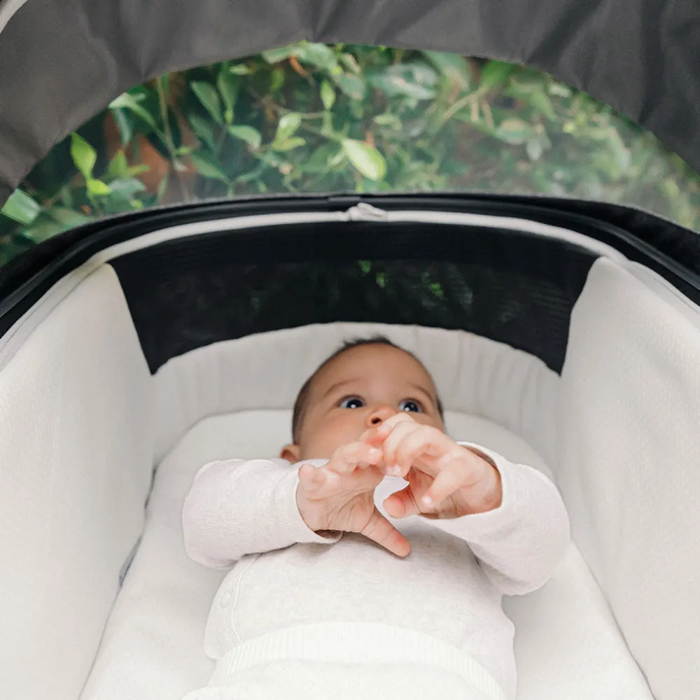 Vista V3 Stroller