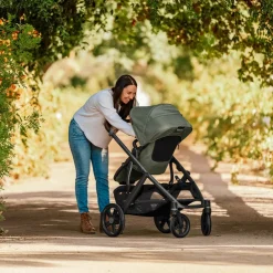 Vista V3 Stroller
