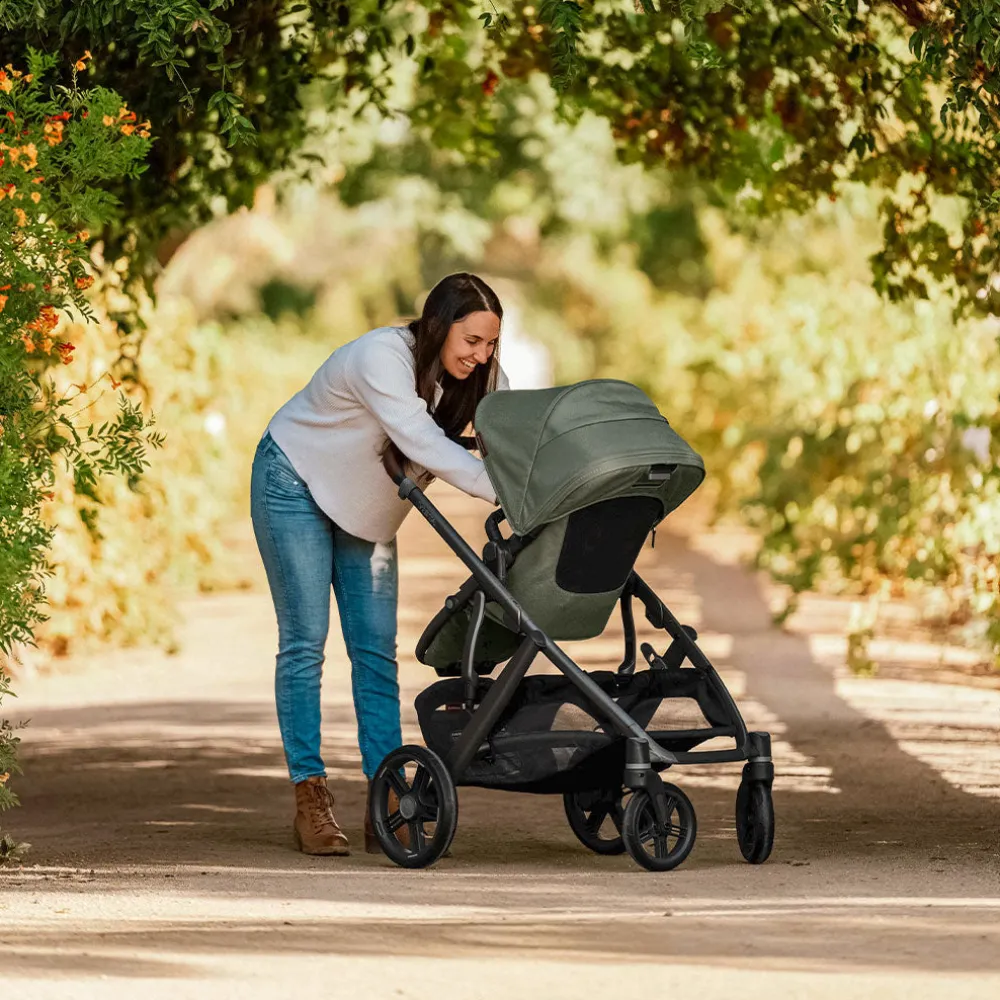 Vista V3 Stroller