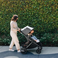 Vista V3 Stroller + Nuna PIPA Series Travel System