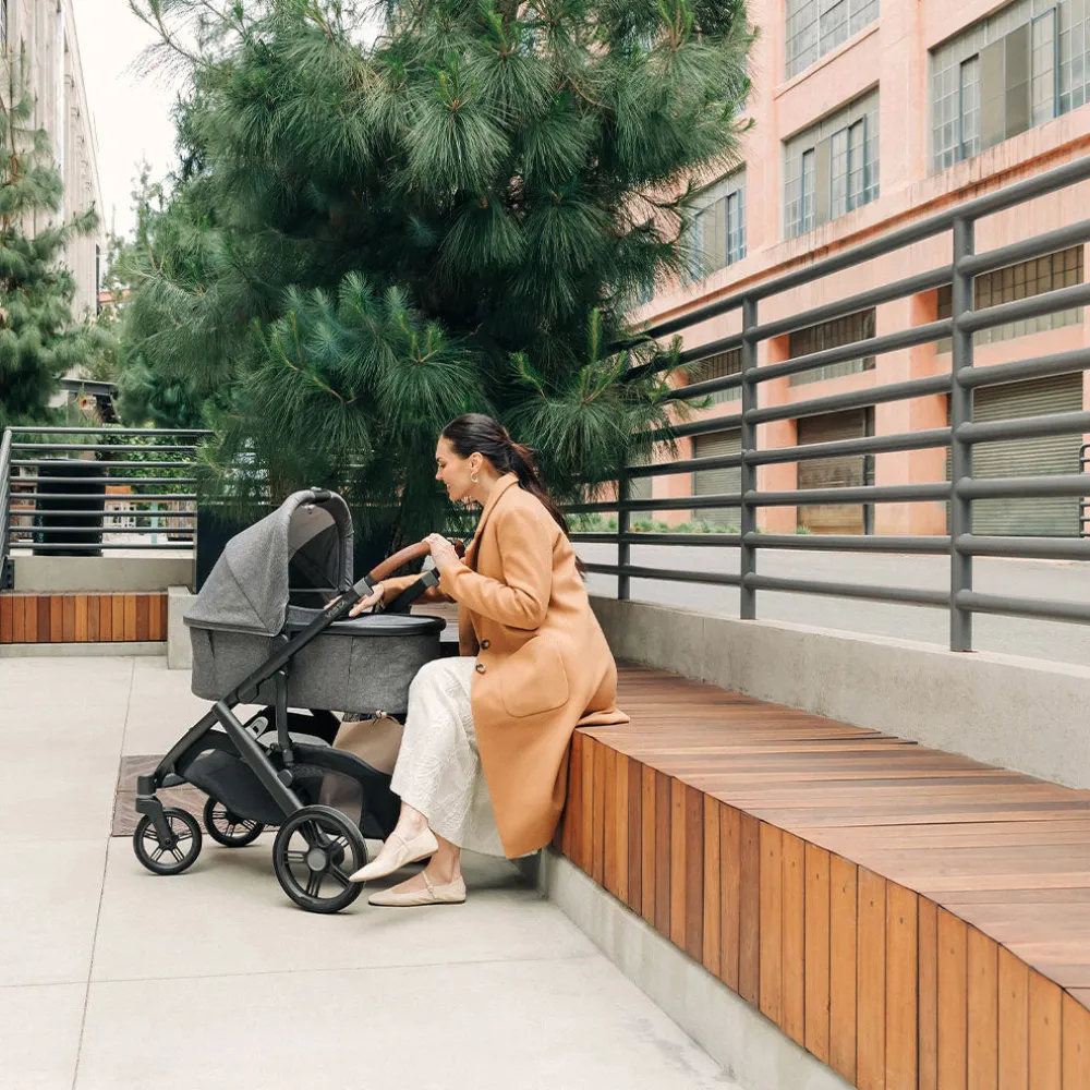 Vista V3 Stroller + PiggyBack Bundle