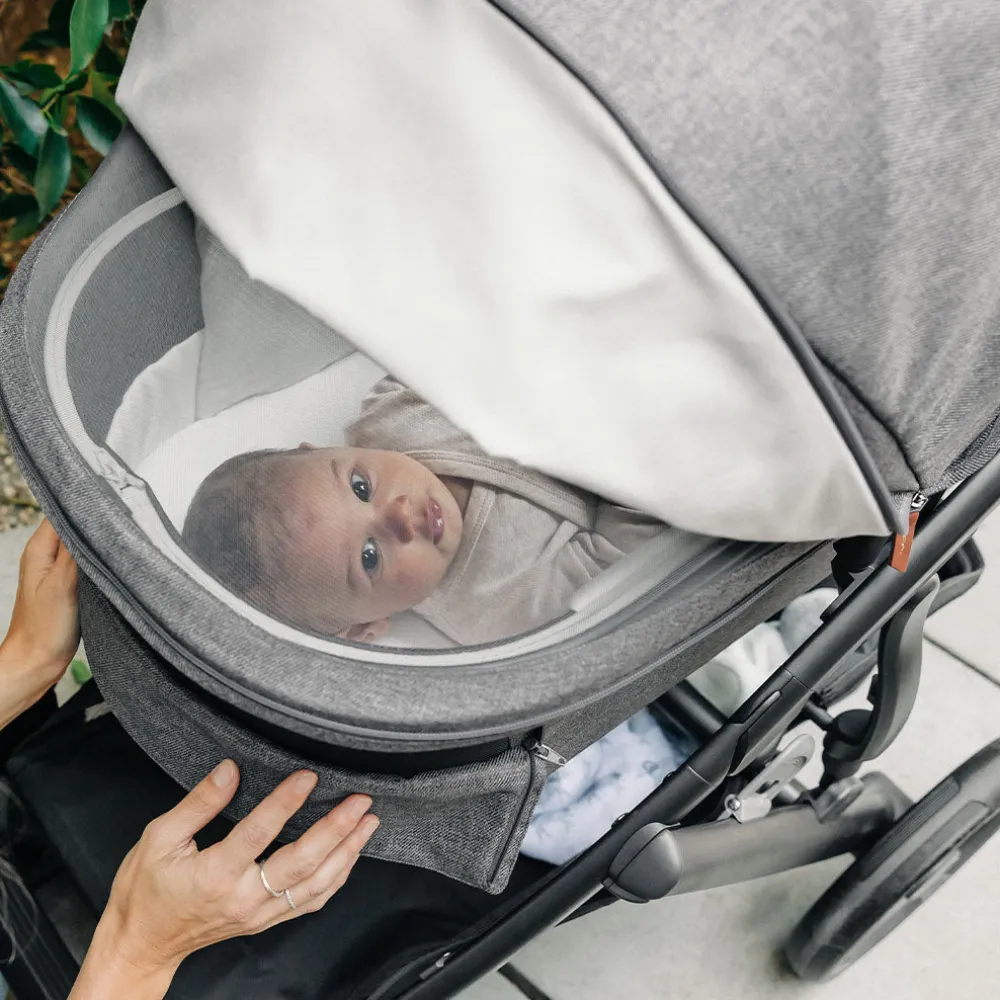 Vista V3 Stroller + PiggyBack Bundle