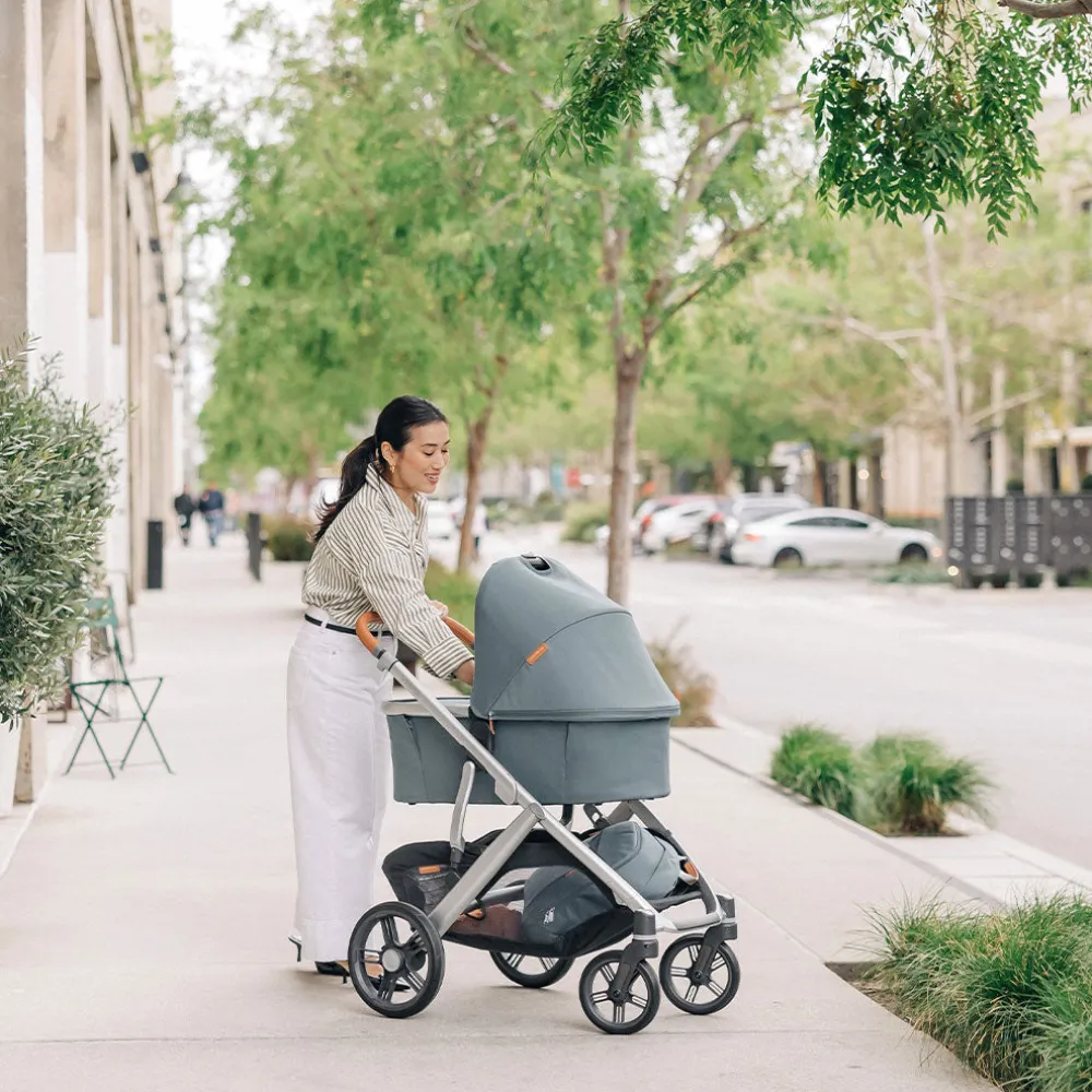 Vista V3 Stroller + PiggyBack Bundle