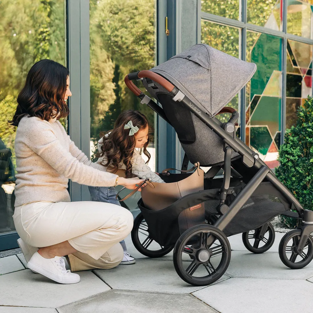 Vista V3 Stroller + PiggyBack Bundle