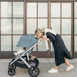 Vista V3 Stroller + Travel Bag Bundle