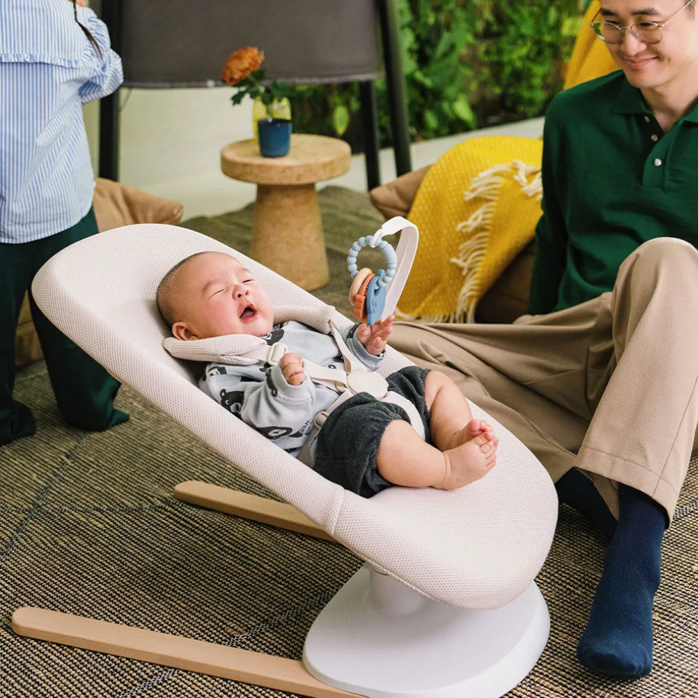 Yoga Bouncer & Swing