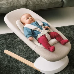 Yoga Bouncer & Swing