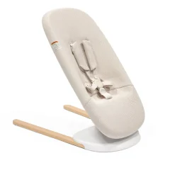 Yoga Bouncer & Swing