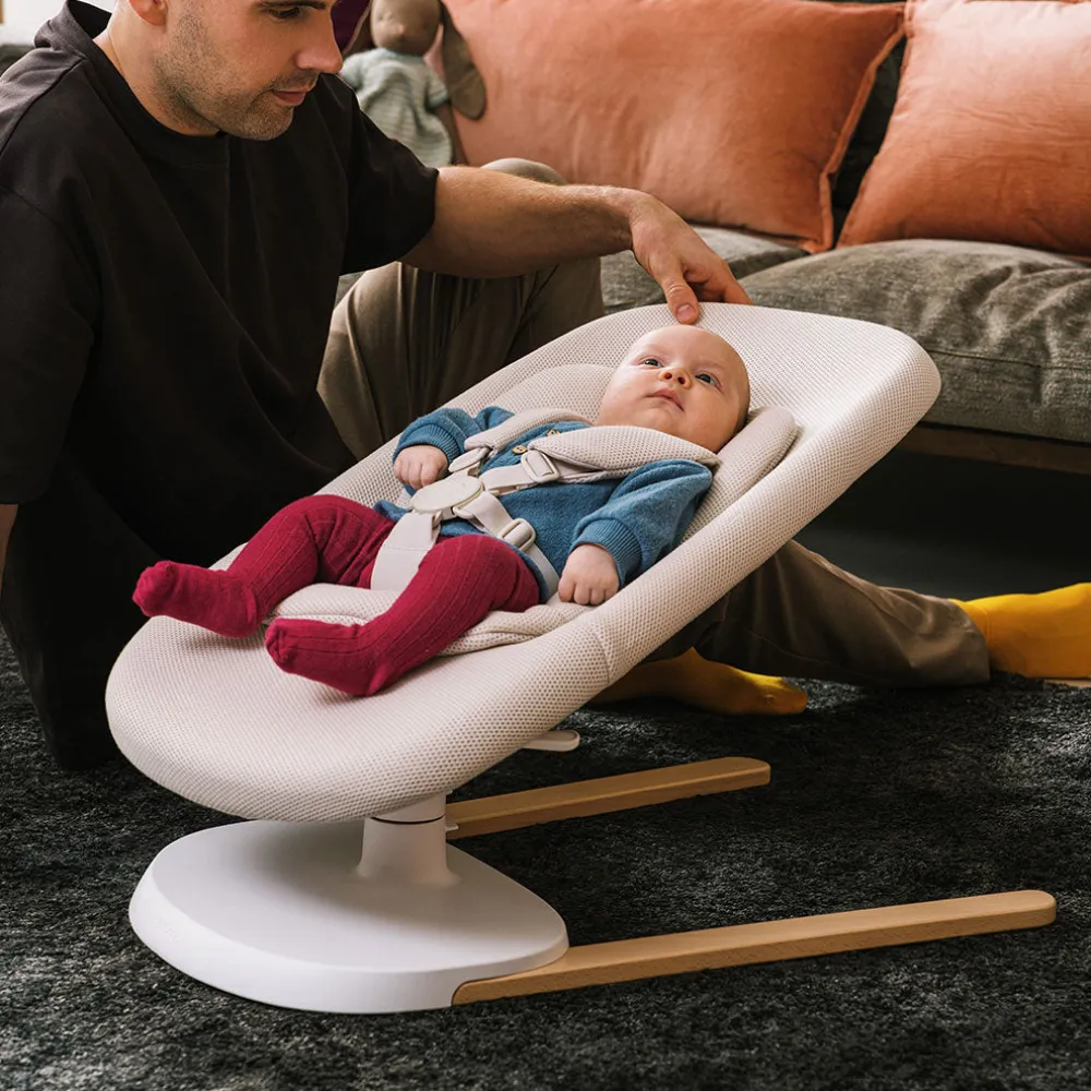 Yoga Bouncer & Swing