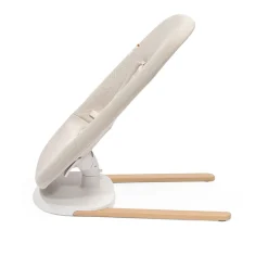 Yoga Bouncer & Swing