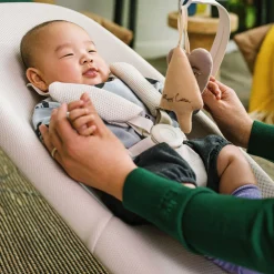 Yoga Bouncer & Swing