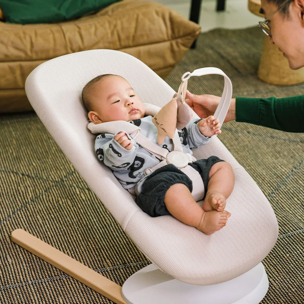 Yoga Bouncer & Swing